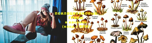 jwh Михайлов