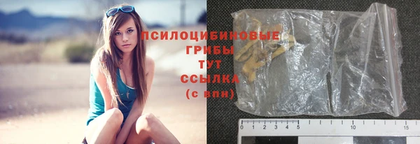 ПСИЛОЦИБИНОВЫЕ ГРИБЫ Белокуриха
