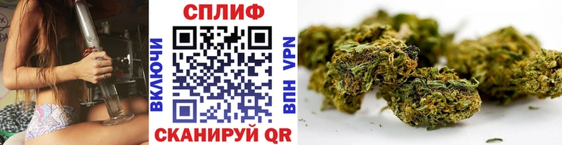 Шишки марихуана White Widow  Вышний Волочёк 